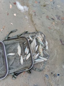 Котлован Левая Обь