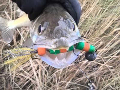 Полдня на речке.