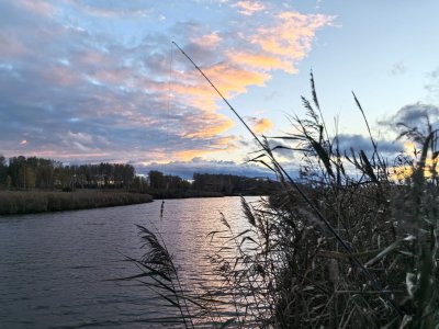 Полдня на речке.