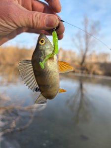 Лёд и нелёд.