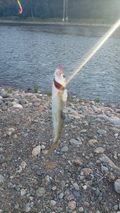 Иначе и не бывает... Или если ты жена рыбака, то день рождения пройдёт на рыбалке