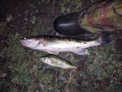 Дождался однако!..