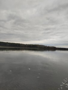 Дождался однако!..