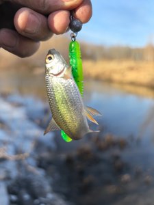 Лёд и нелёд.