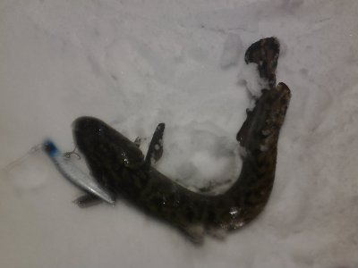 Вечерняя прогулка по снежку с детьми вдоль бережка.