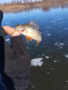 Открылись с сыном и товарищем по твёрдой воде.
