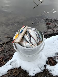 Снежный октябрь на Ине.