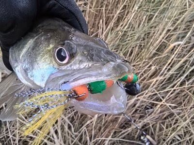 Полдня на речке.