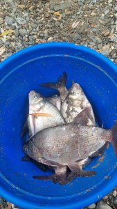 Ещё не закрытие.